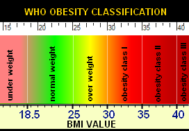 Body Mass Index Calculation Chart